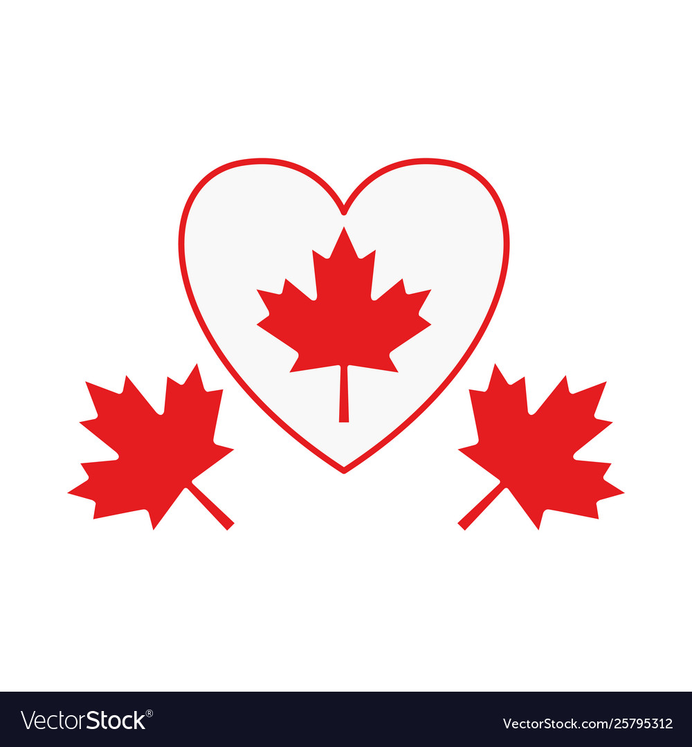 Maple leaf canada design Royalty Free Vector Image