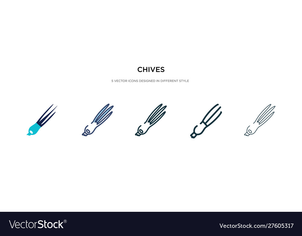 Chives icon in different style two colored