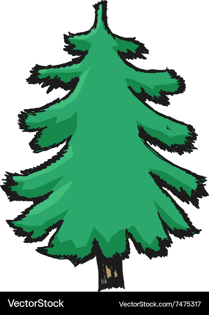Pine Royalty Free Vector Image - VectorStock