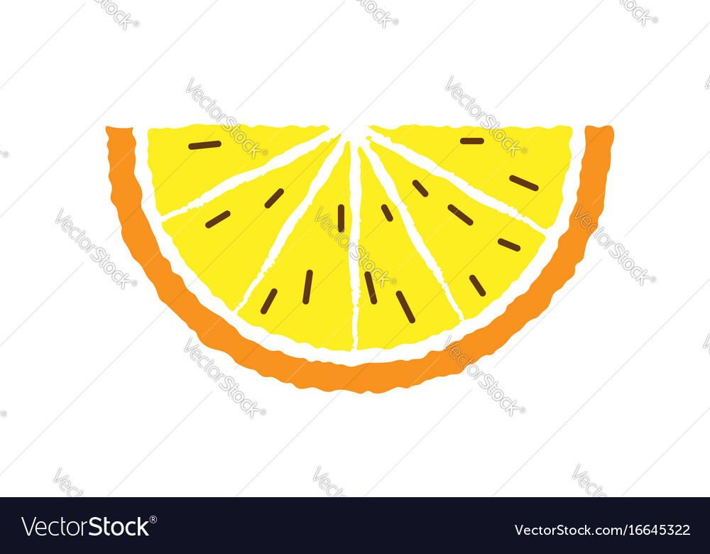 Lemon and orange slice hand draw