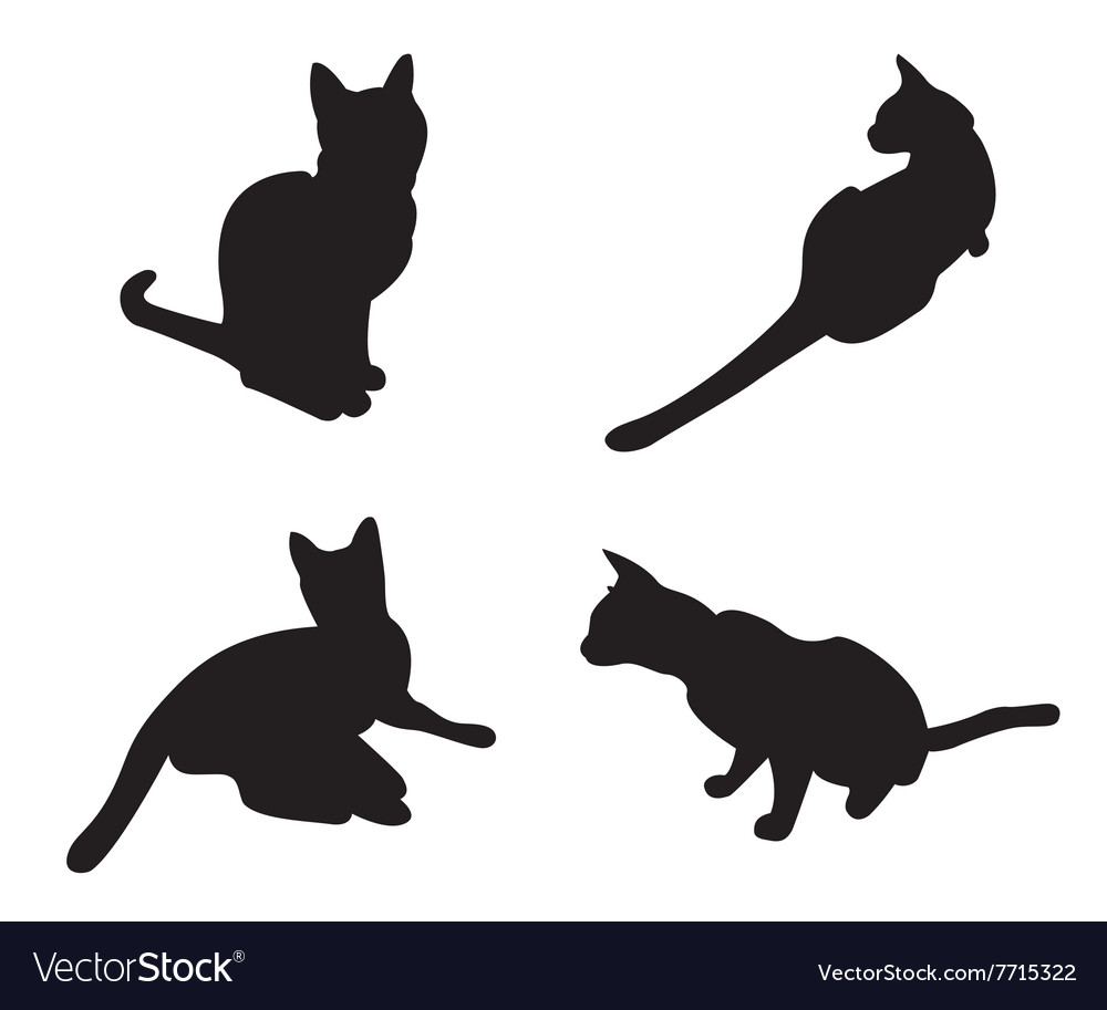 Set von Katzen Silhouetten isoliert auf einem weißen