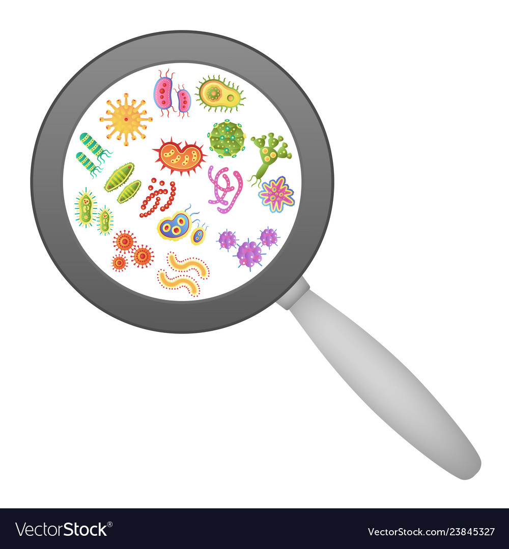 Bacterial and viruses research concept internal Vector Image