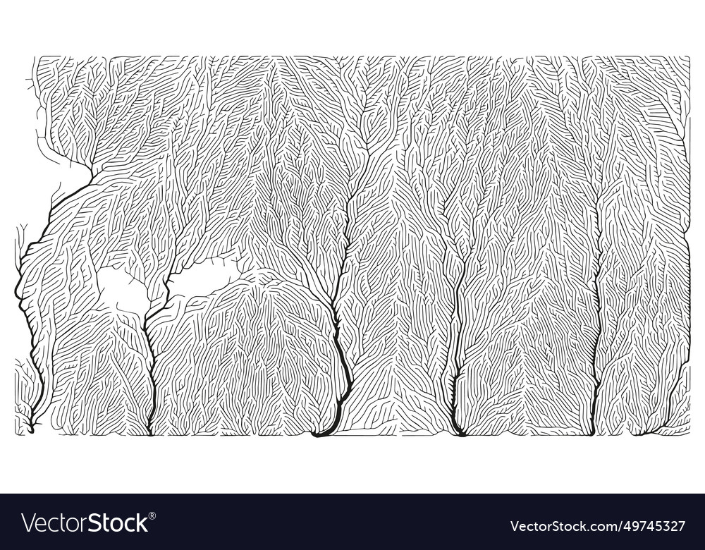 Growth pattern generative branching structure