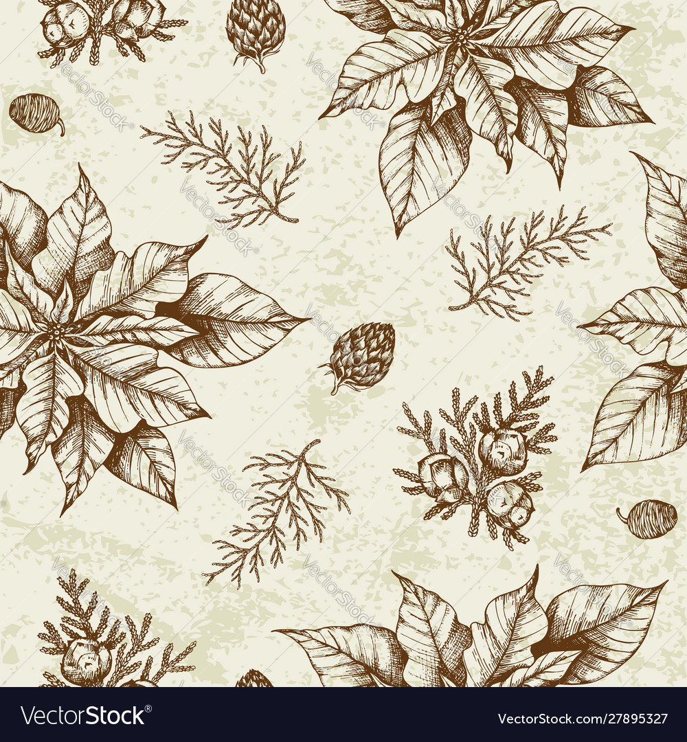 Vintage seamless pattern with poinsettia