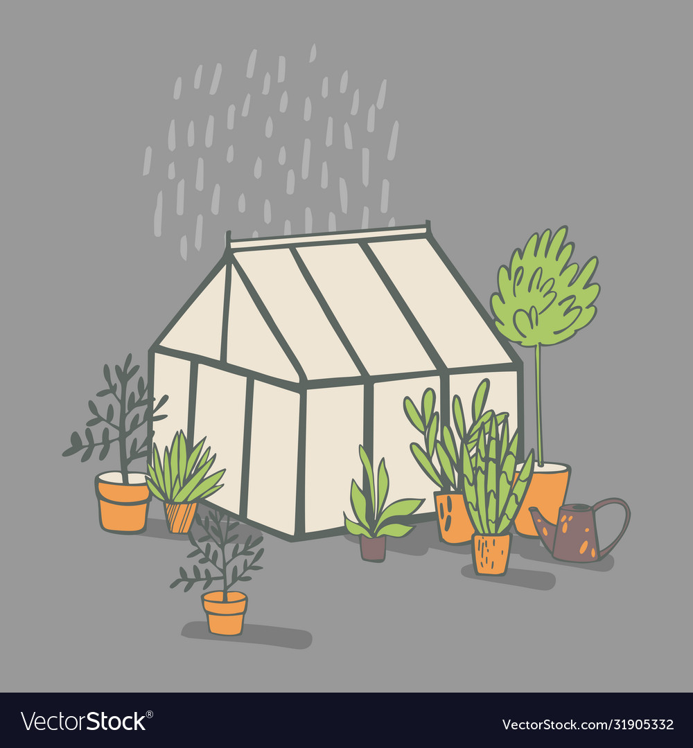 Handgezeichnete Hauspflanzen und Gewächshausskizze vector image Handgezeichnete Hauspflanzen und Gewächshausskizze