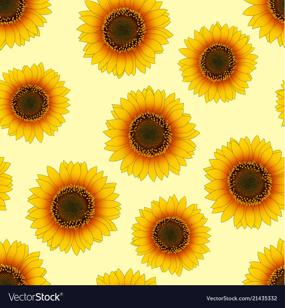 Orange yellow sunflower seamless on beige ivory Vector Image