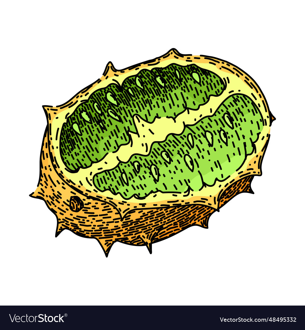 Tropical kiwano sketch hand drawn