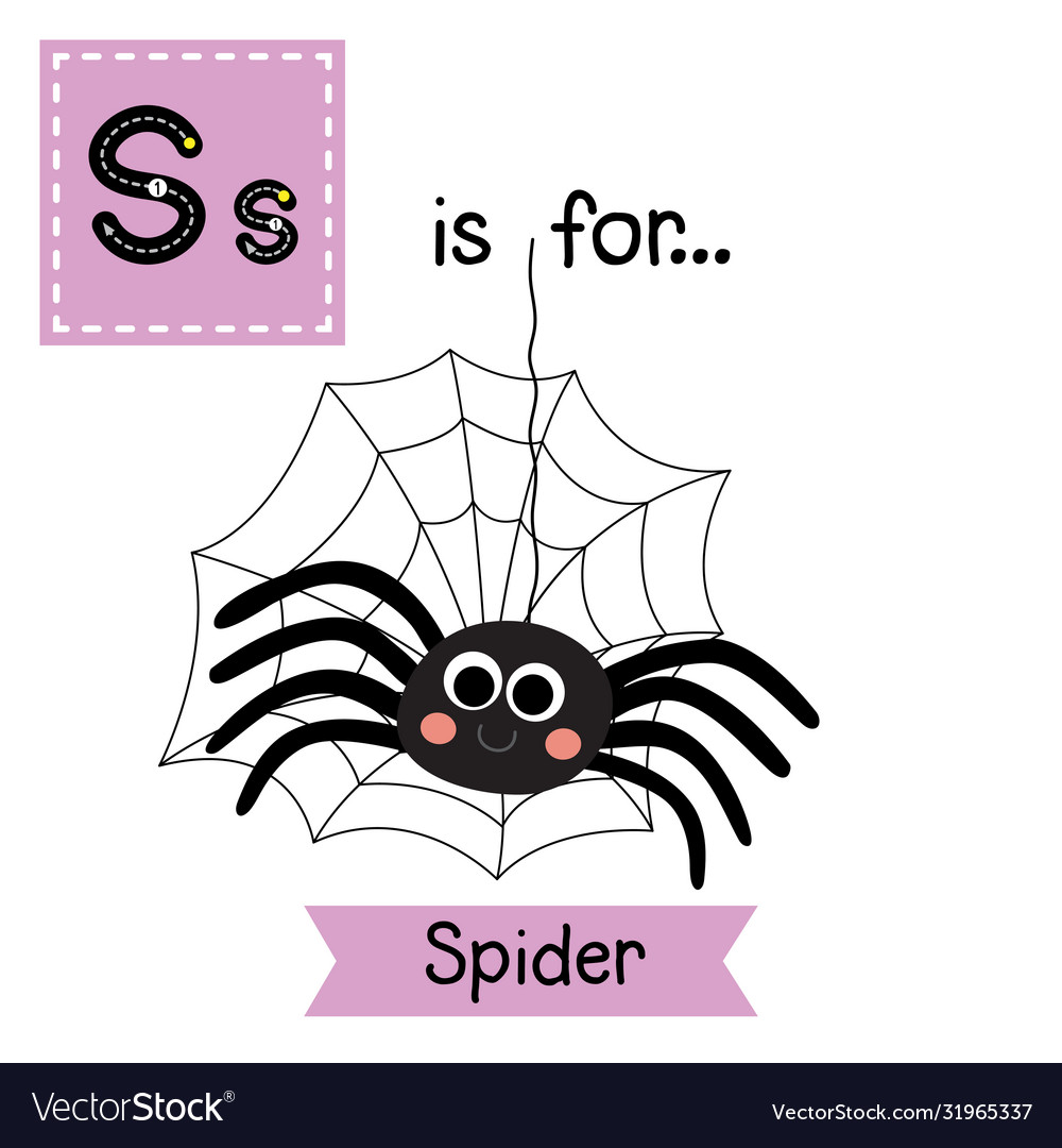 Letter s tracing black spider Royalty Free Vector Image