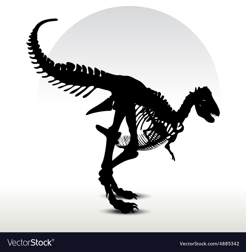 trex skeleton