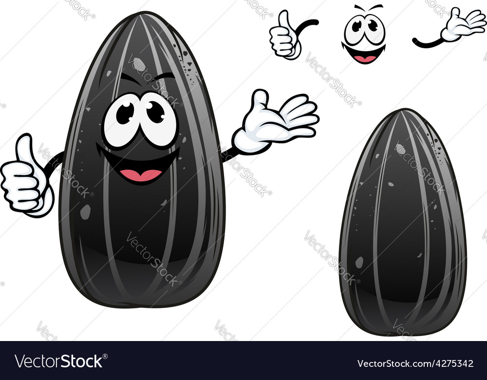 Smiling sunflower seed cartoon character Vector Image