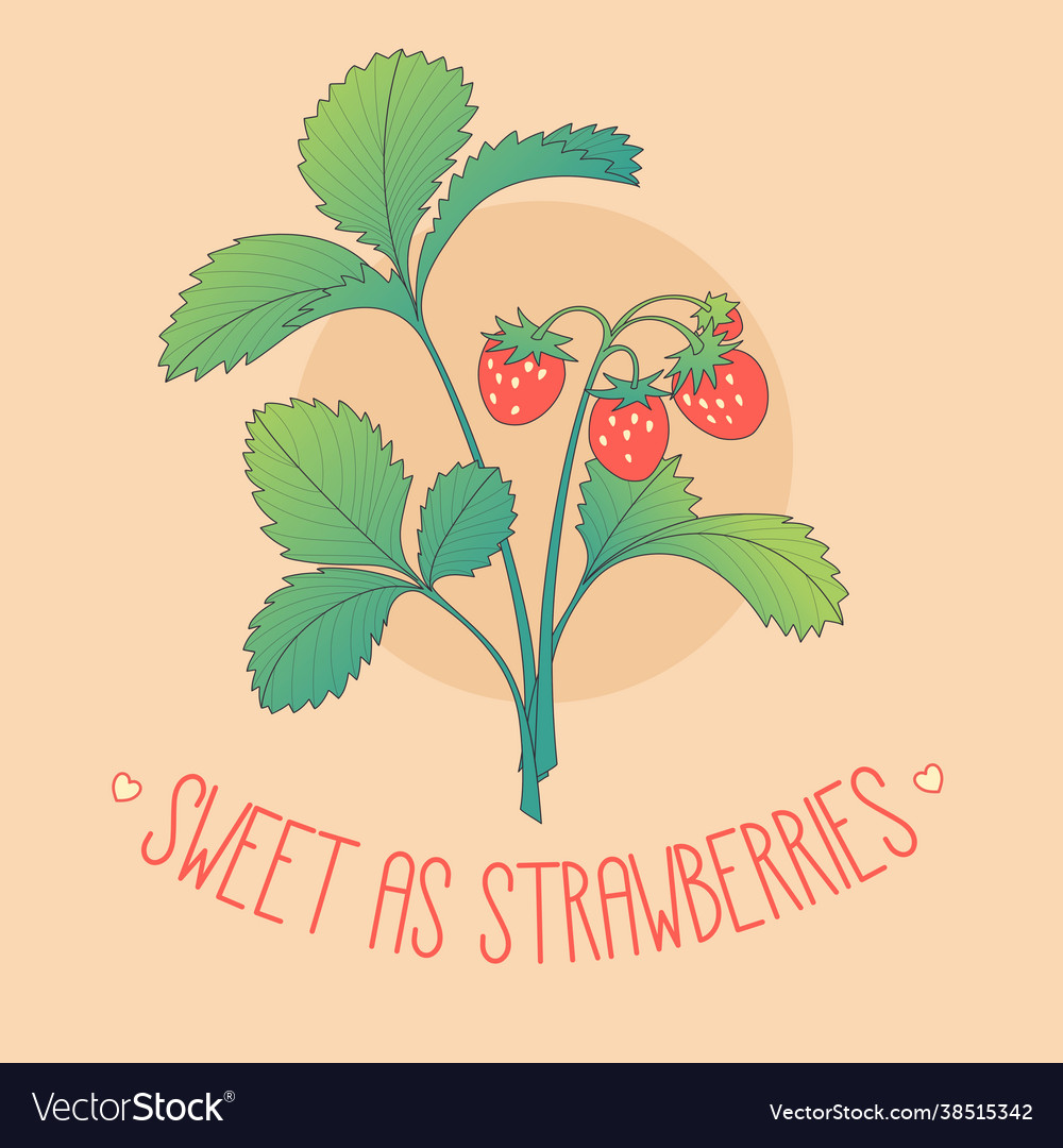 Strawberries card print