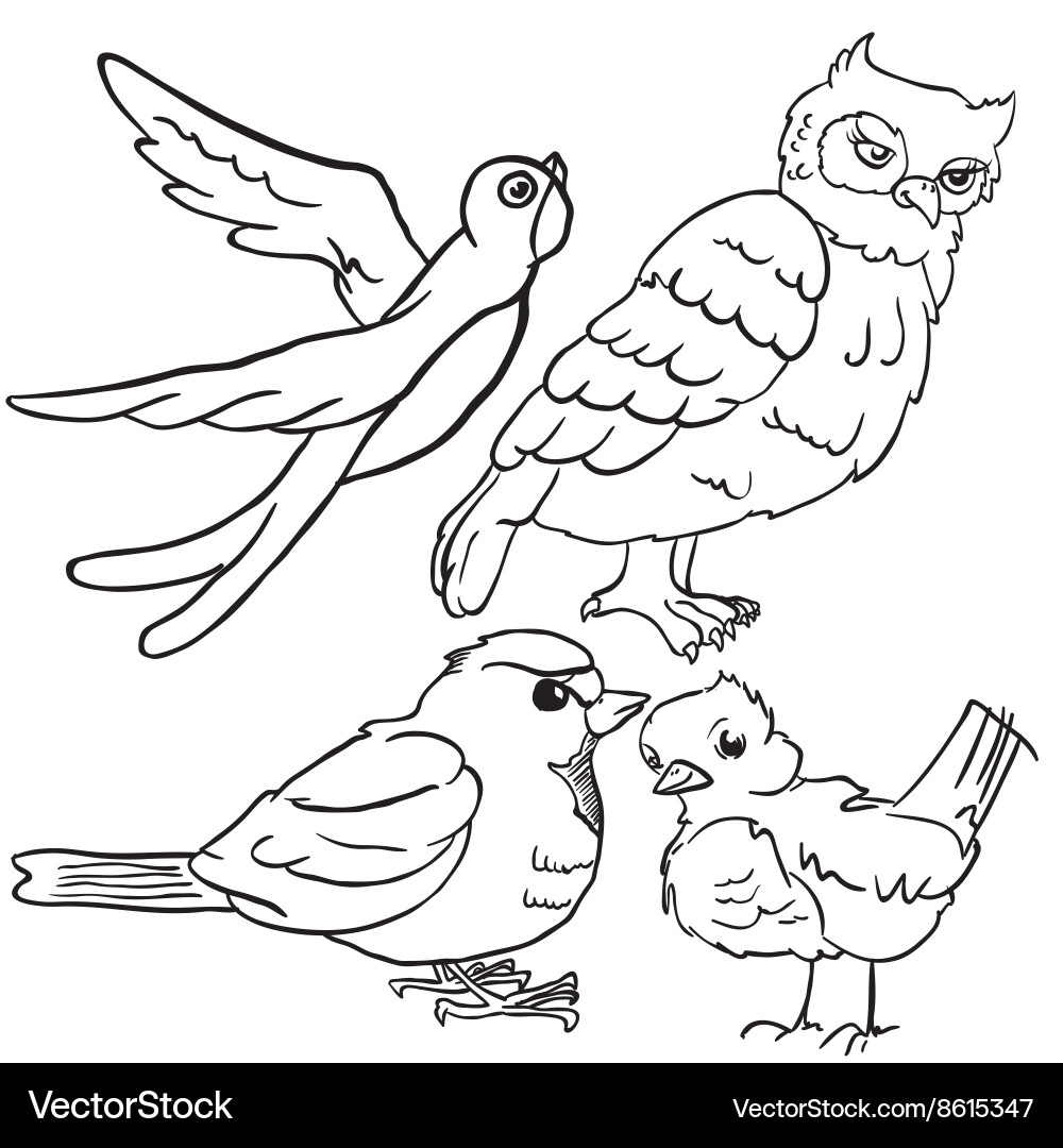 Birds Royalty Free Vector Image - VectorStock