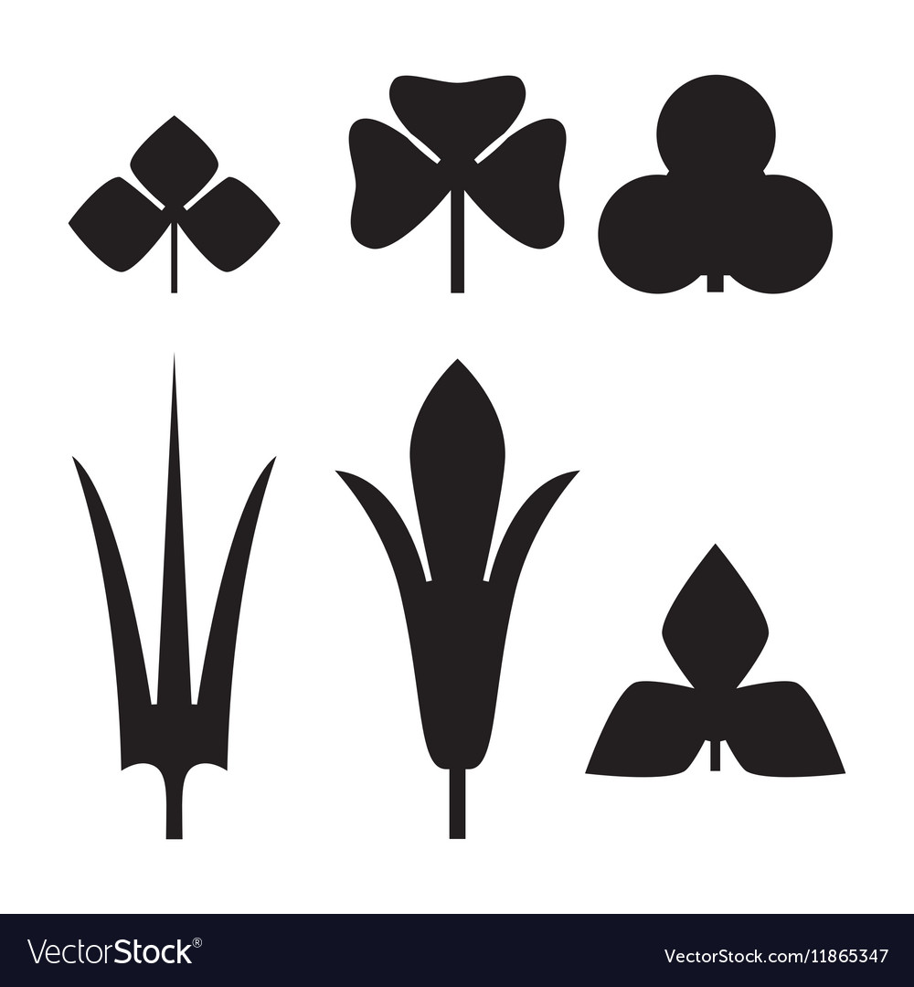 Decorative black leaves pattern set isolated