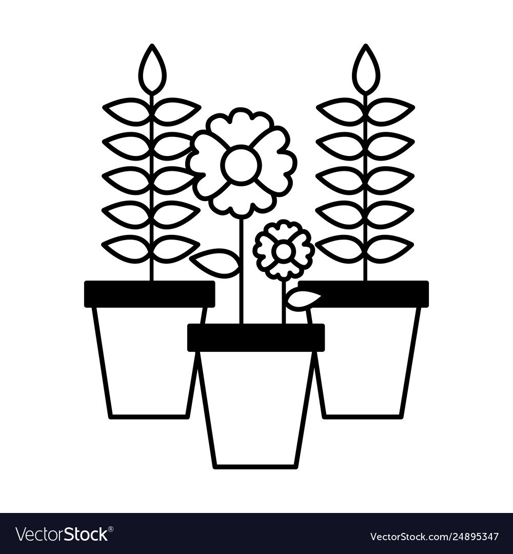 Potted flower decoration Royalty Free Vector Image