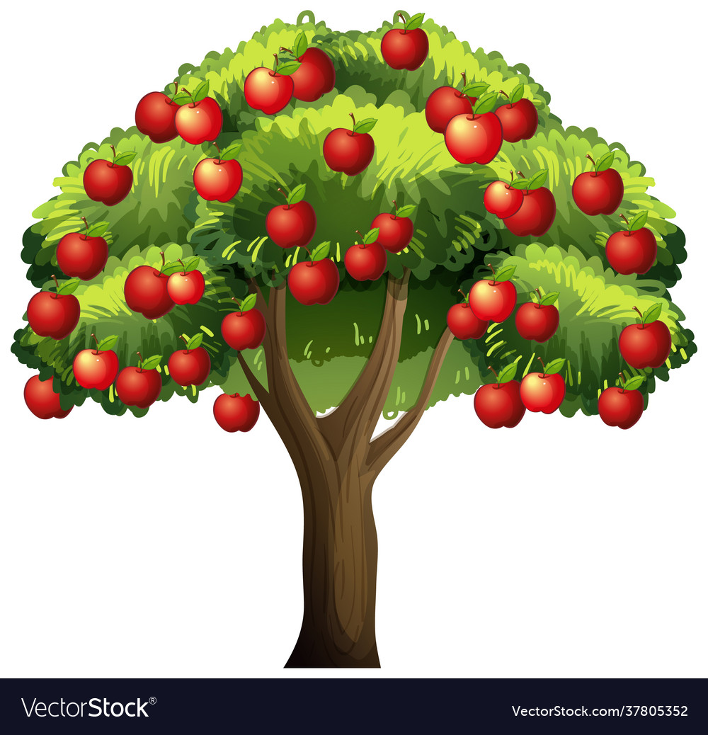 An apple tree isolated on white background Vector Image