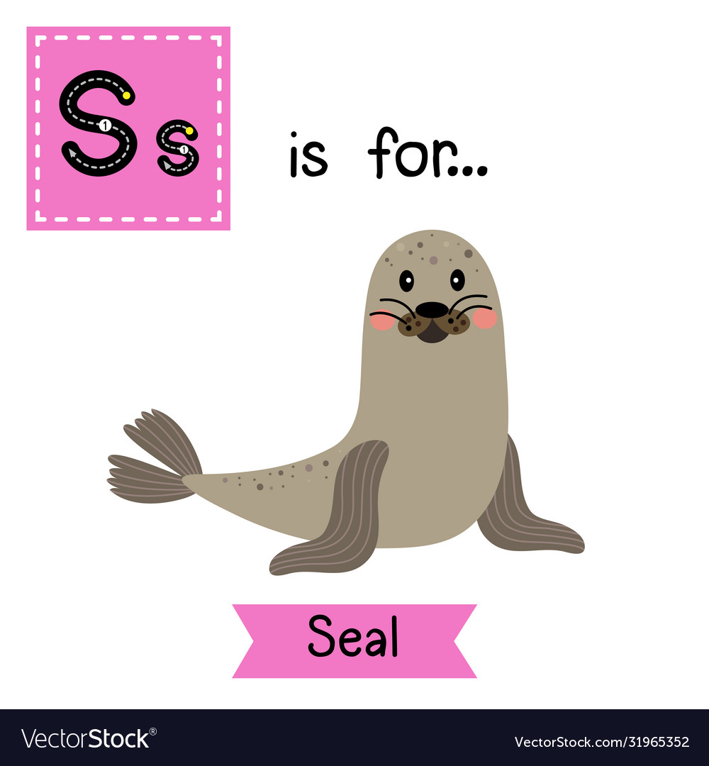 Letter s tracing seal Royalty Free Vector Image