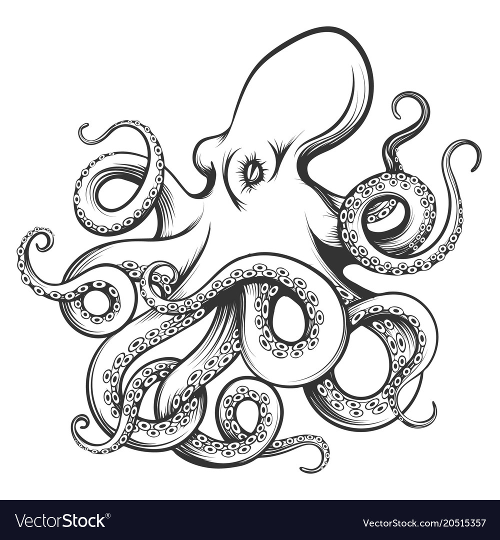 Octopus drawn in engraving style Royalty Free Vector Image