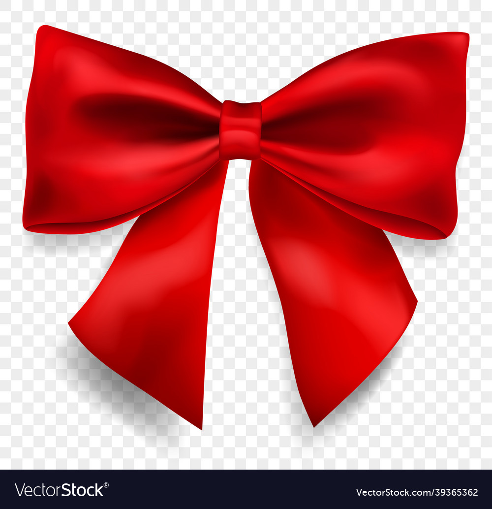 Beautiful big bow Royalty Free Vector Image - VectorStock