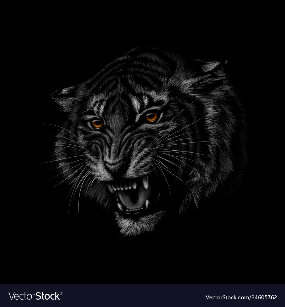 Dark Portrait Wallpapers Top Free Dark Portrait Backgrounds WallpaperAccess