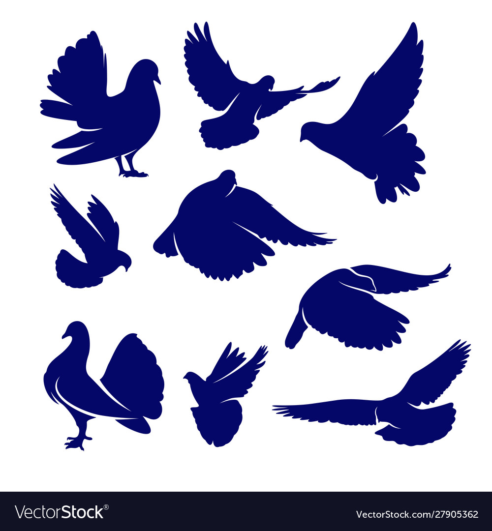 Set dove logo design concept bird