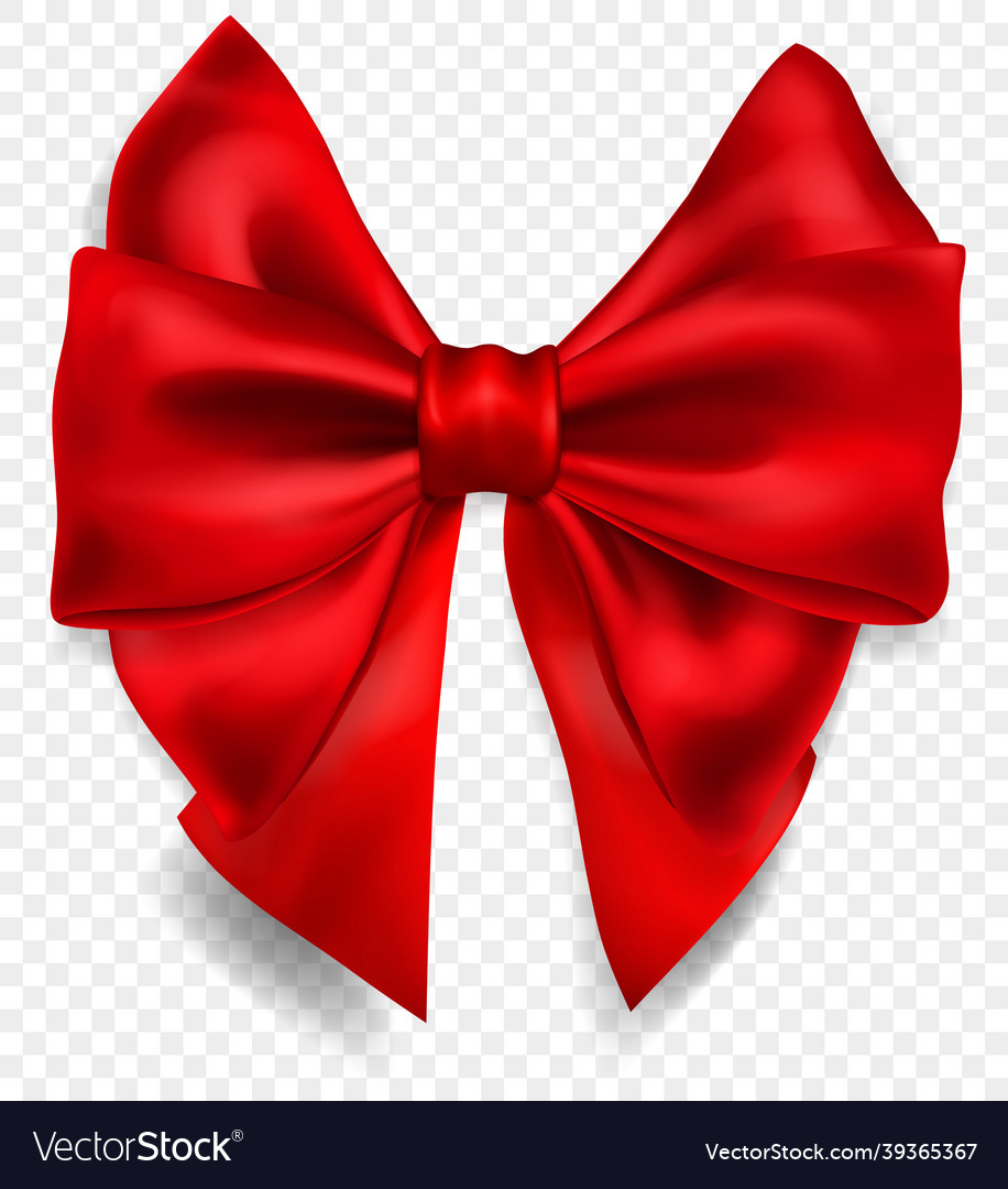 Beautiful big bow Royalty Free Vector Image - VectorStock