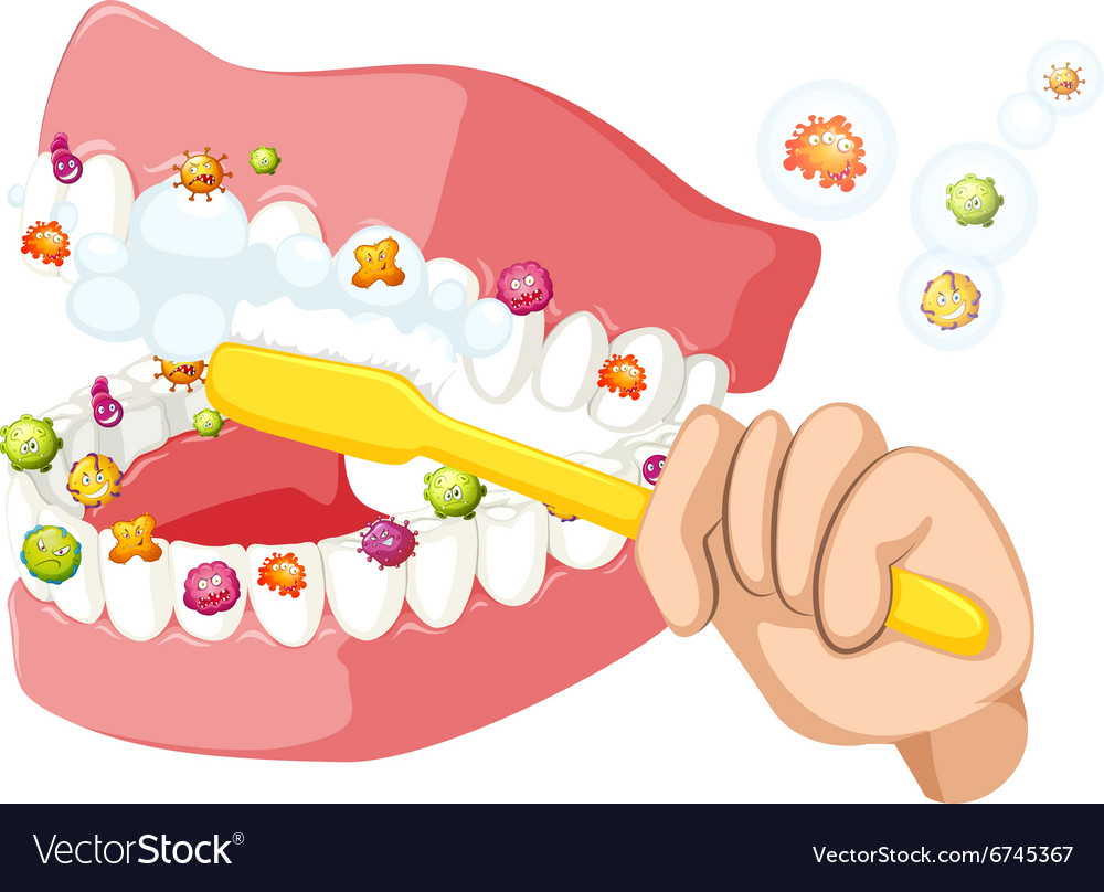 Brushing teeth and cleaning out bacteria