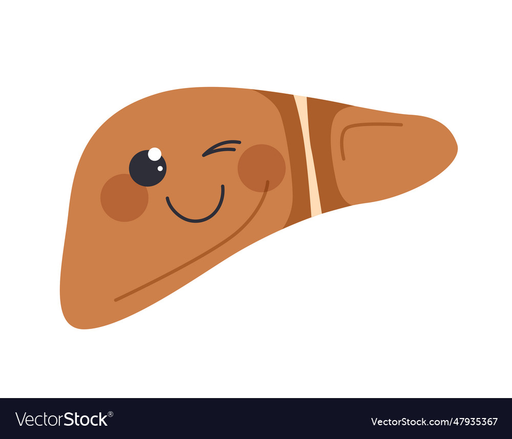 Cute human liver concept