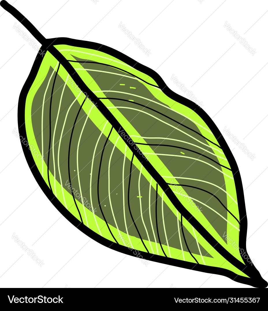 Green leaf on white background Royalty Free Vector Image