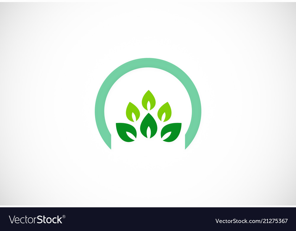 Grünes Blatt Bio-Ikone Logo vector image Grünes Blatt Bio-Ikone Logo