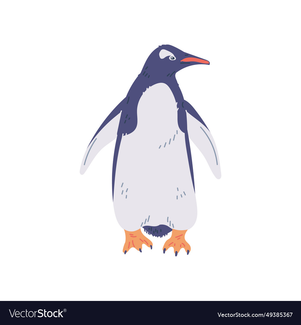 Penguin with yellow paws gentoo north