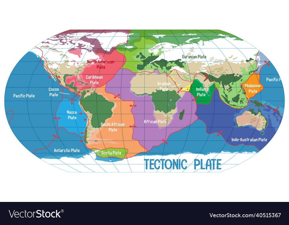 World map showing tectonic plates boundaries vector image World map showing tectonic plates boundaries