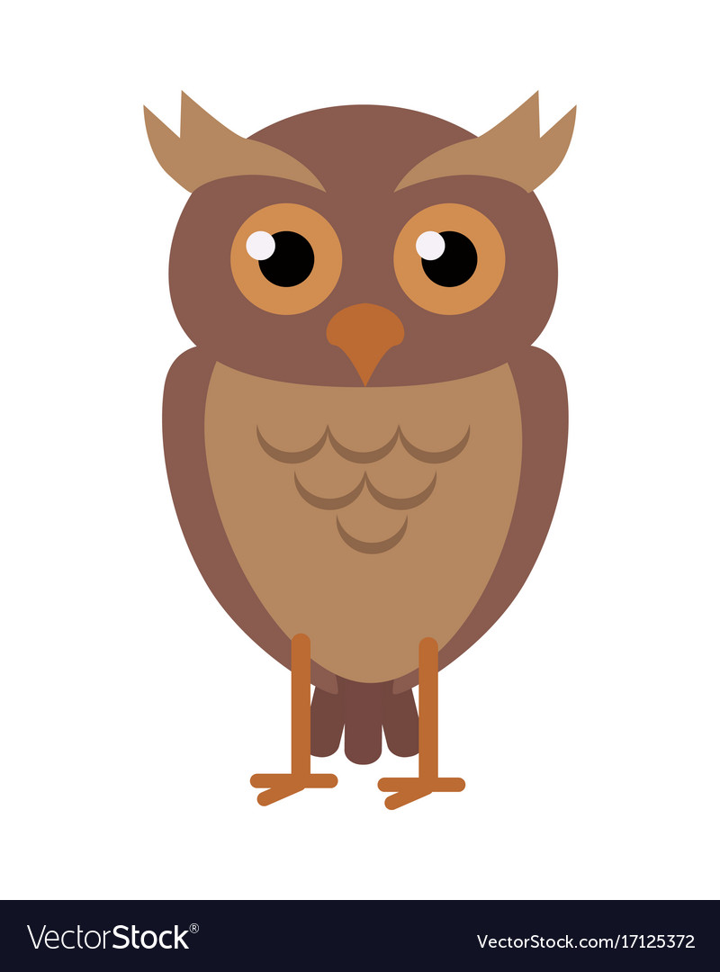 Owl in flat design Royalty Free Vector Image - VectorStock