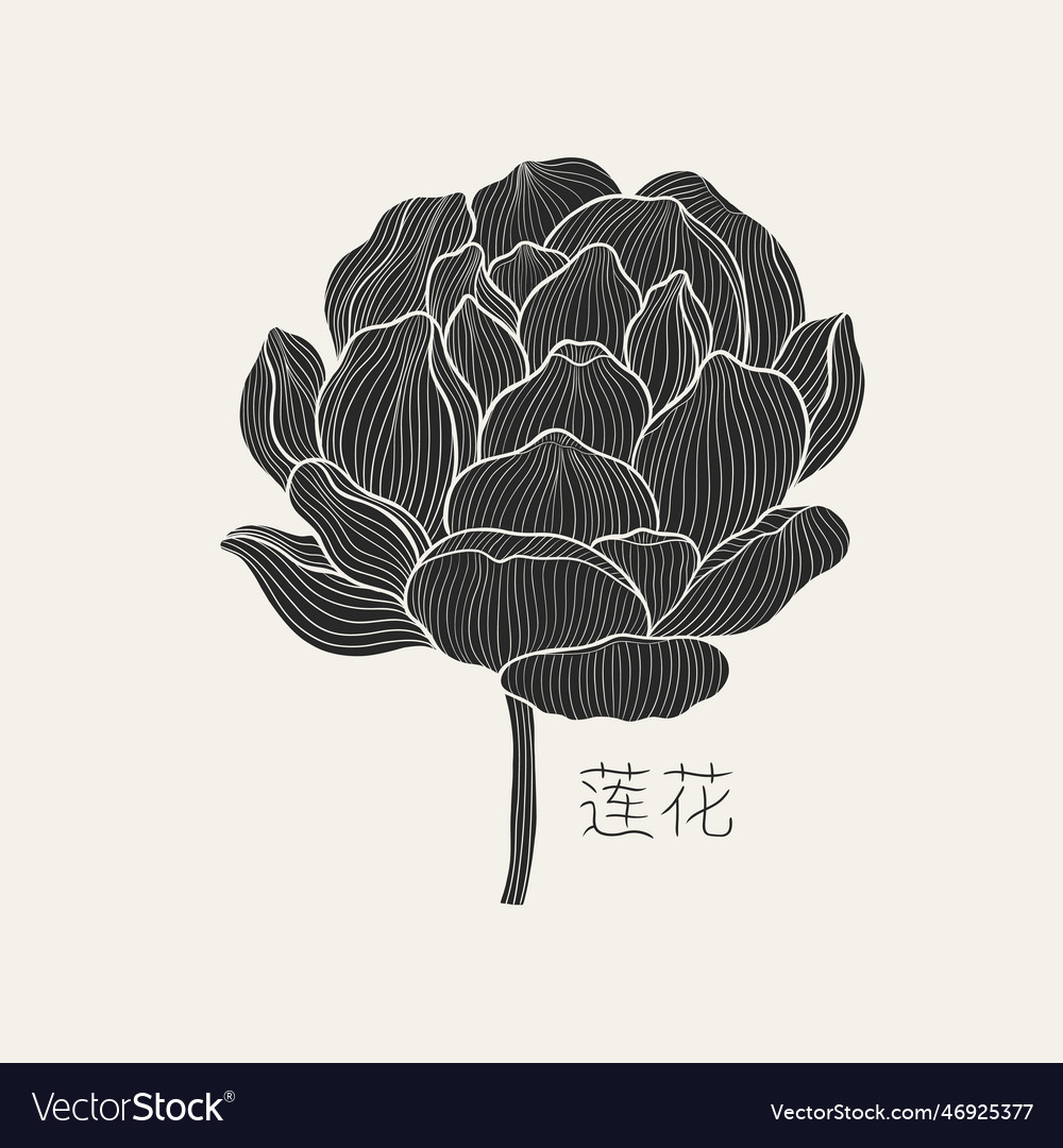 Freehand of a lotus with thin graceful lines Vector Image Freehand of a lotus with thin graceful lines Vector Image