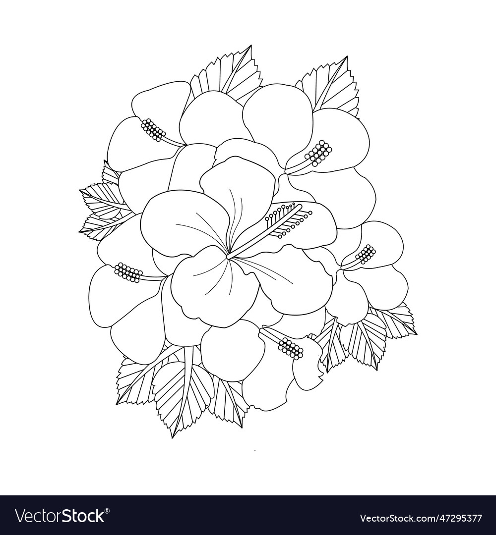 Hibiscus flower coloring page