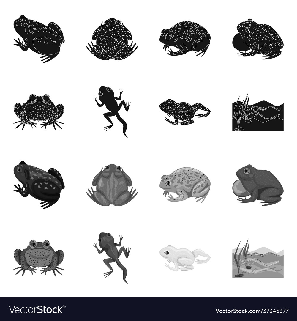 Isolated object wildlife and bog logo set