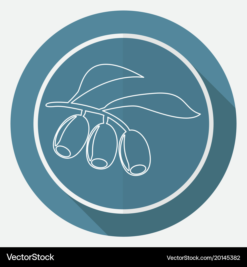 Olive branch Royalty Free Vector Image - VectorStock