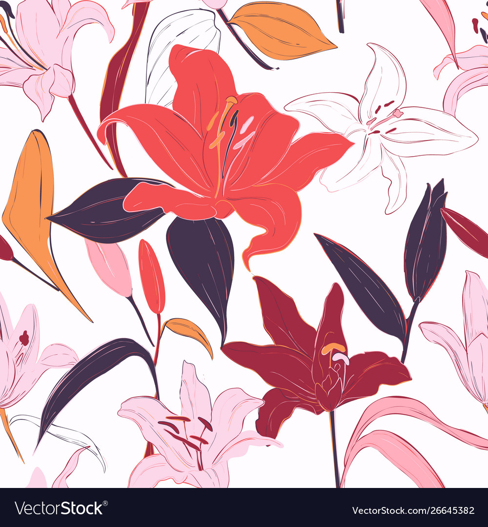 Red lilies hand-drawn background summer flowers vector image Red lilies hand-drawn background summer flowers