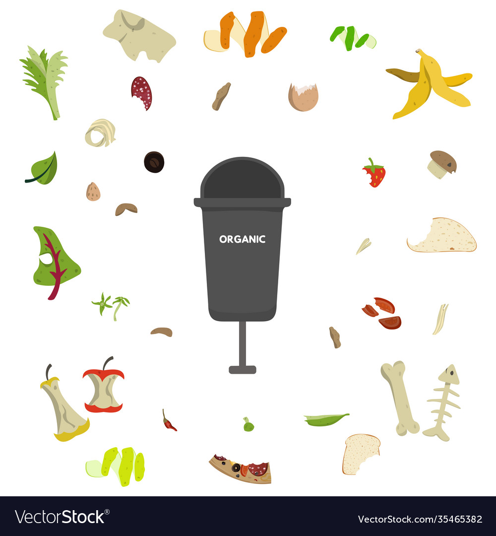 Waste sorting set vector image Waste sorting set