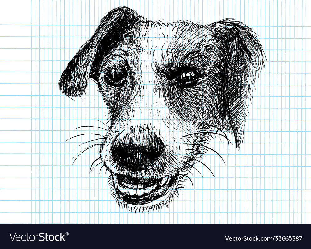 A hand drawn honest dogsketch dog pen