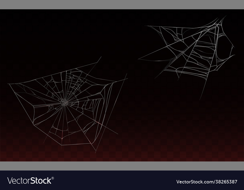 Collection realistic cobweb spider web