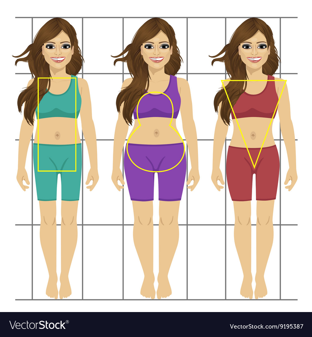 Download Different women s figures Three female body types Vector Image