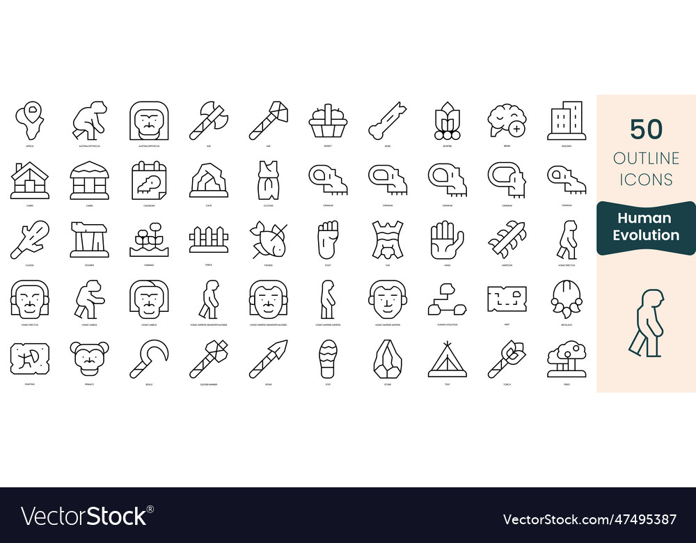 Set of human evolution icons thin linear style Vector Image