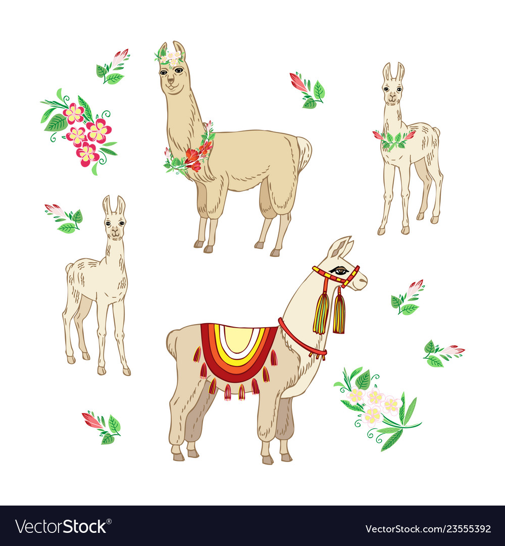 Llamas with flowers hand drawn seamless pattern