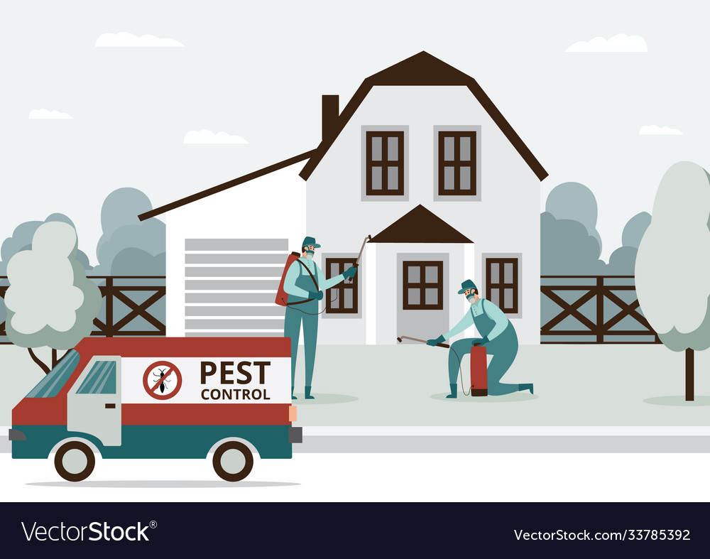 Pest control services staff works at house