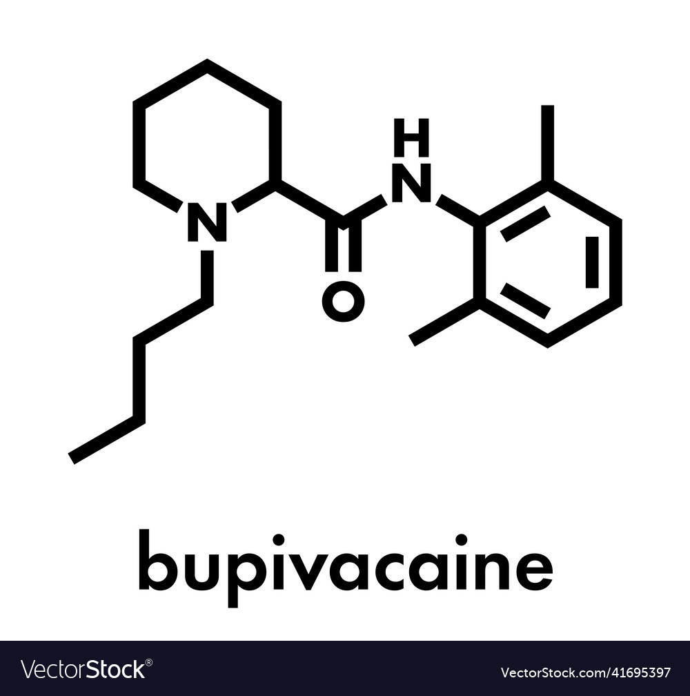 Bupivacaine epidural anesthetic drug molecule Vector Image