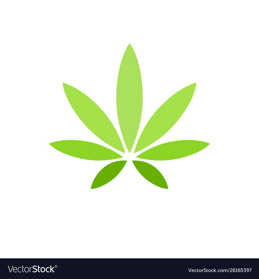 Cannabis leaf on white background logo illegal vector image Cannabis leaf on white background logo illegal
