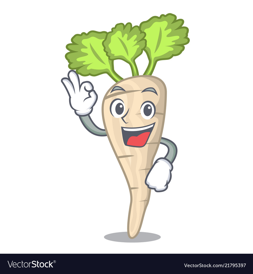 Okay parsnip isolated on the cartoon style