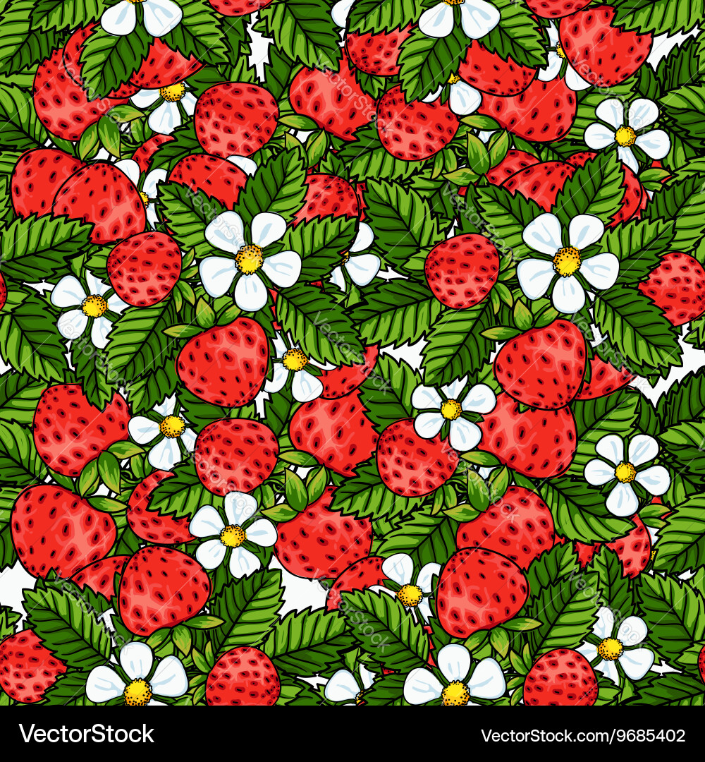 Seamless strawberry pattern on white background Vector Image