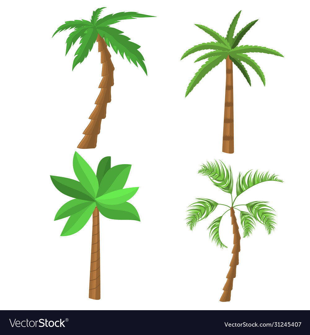 Tropical Palm Trees Royalty Free Vector Image Vectorstock 7828