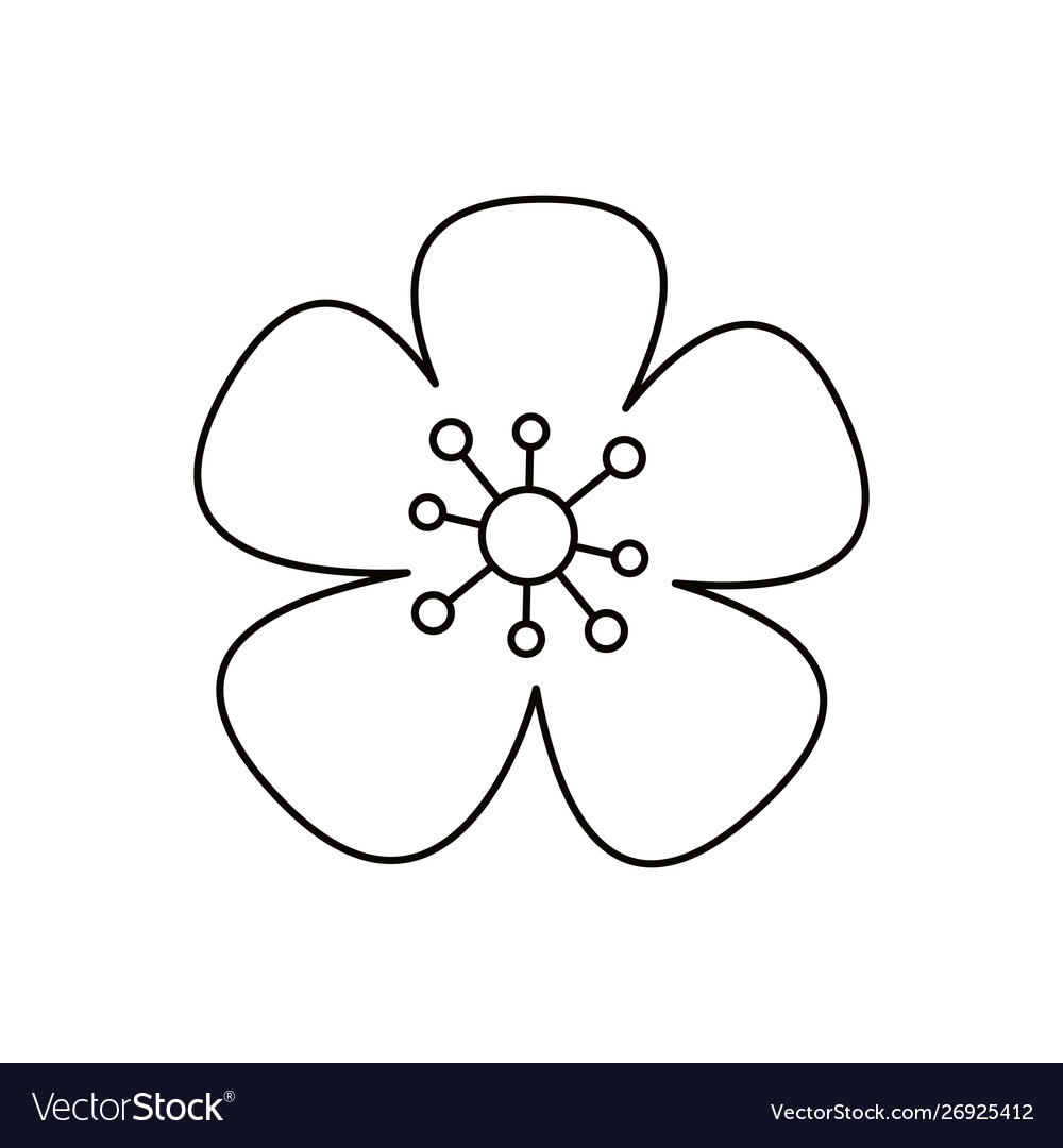 Isolated flower ornament design